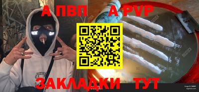 СК Новодвинск