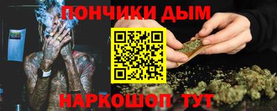 СК Новодвинск