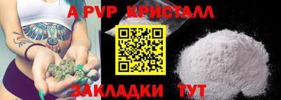 СК Новодвинск