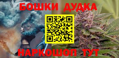 СК Новодвинск