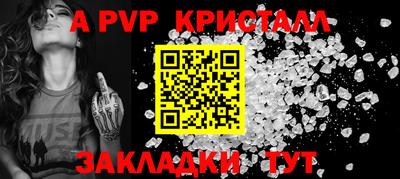 СК Новодвинск