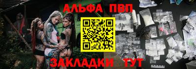 СК Новодвинск