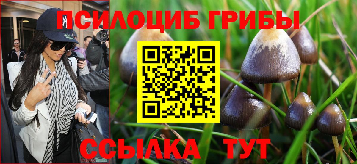 Галлюциногенные грибы мицелий Уварово
